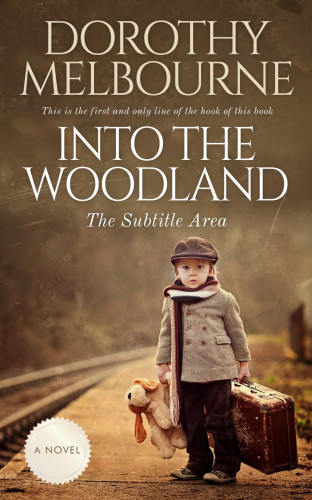 3D mockup of Shingle Fawn #807 - Premade Travel Book Cover