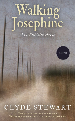 3D mockup of Schooner #897 - Premade Travel Book Cover