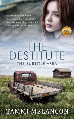 3D mockup of Silver Sand #1501 - Premade Literary Fiction Book Cover