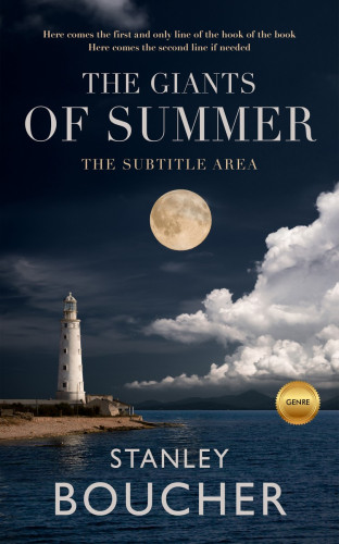 3D mockup of Big Stone #1544 - Premade Literary Fiction Book Cover