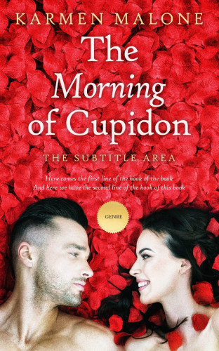 3D mockup of Punch #3508 - Premade Erotica Book Cover