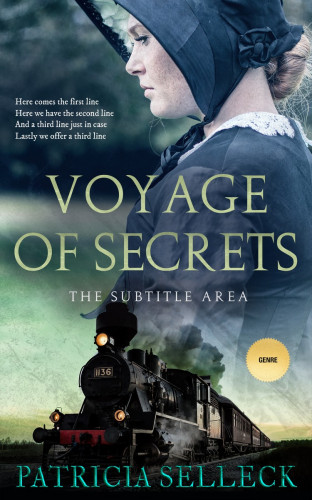 3D mockup of Ebony Clay #3644 - Premade Romance Book Cover