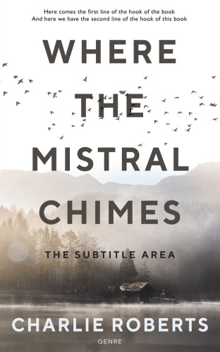 3D mockup of Silver Rust #4338 - Premade Literary Fiction Book Cover