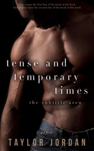 3D mockup of Night Rider #4546 - Premade Erotica Book Cover