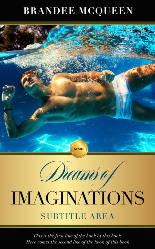 3D mockup of Big Stone #5549 - Premade Erotica Book Cover