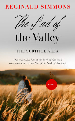 3D mockup of Swirl #5670 - Premade Romance Book Cover