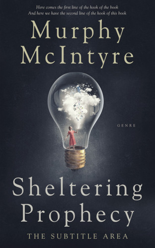 3D mockup of Charade #6108 - Premade Self-Improvement & Self-Help Book Cover