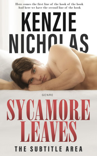 3D mockup of Wafer #6299 - Premade Erotica Book Cover