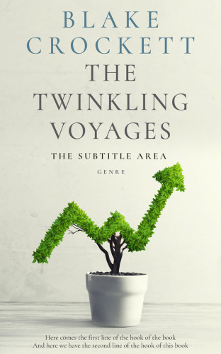 3D mockup of Moon Mist #6336 - Premade Business Book Cover