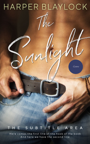 3D mockup of Merlin #6774 - Premade Erotica Book Cover