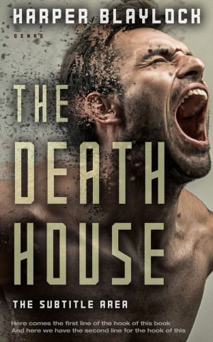 3D mockup of Birch #6844 - Premade Mystery & Thriller & Suspense Book Cover