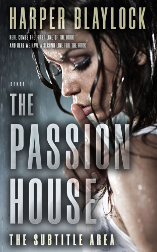 3D mockup of Thunder #6904 - Premade Literary Fiction Book Cover