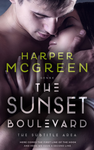 3D mockup of Thunder #6972 - Premade Erotica Book Cover