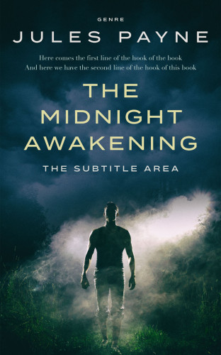 3D mockup of Big Stone #7941 - Premade Mystery & Thriller & Suspense Book Cover