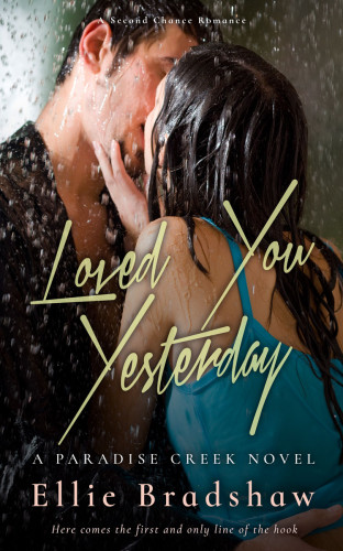 3D mockup of Rodeo Dust #9524 - Premade Erotica Book Cover