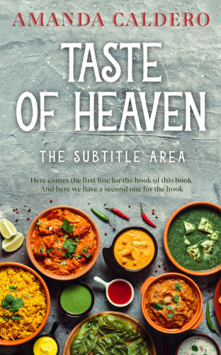 3D mockup of Pewter #10555 - Premade Travel Book Cover