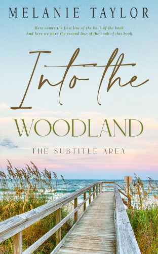 3D mockup of Geyser #10963 - Premade Travel Book Cover