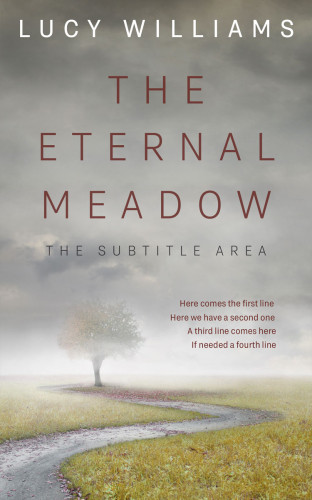 3D mockup of Dawn #11084 - Premade Surreal Book Cover