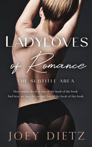 3D mockup of Rodeo Dust #11495 - Premade Erotica Book Cover