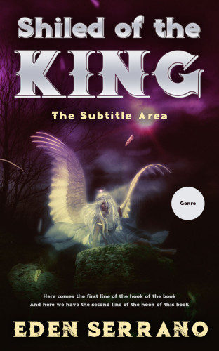 3D mockup of Gondola #11730 - Premade Fantasy Book Cover