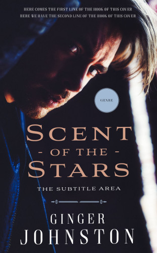 3D mockup of Steel Gray #13068 - Premade Erotica Book Cover