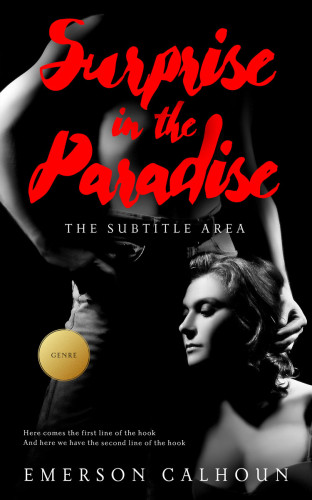 3D mockup of Valencia #13383 - Premade Erotica Book Cover