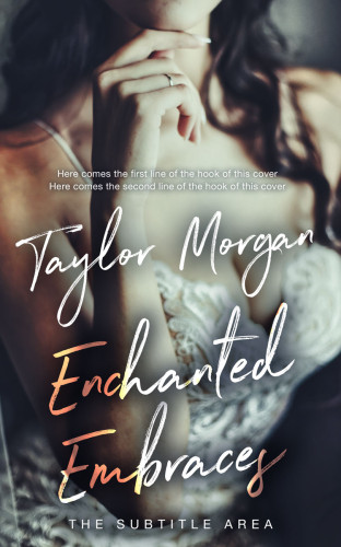 3D mockup of Ship Gray #14868 - Premade Erotica Book Cover