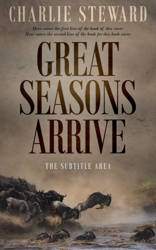 3D mockup of Sand Dune #20934 - Premade Travel Book Cover