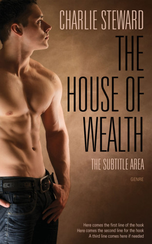 3D mockup of Spice #20947 - Premade Erotica Book Cover