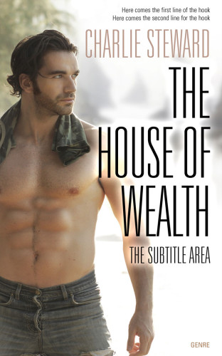 3D mockup of Cement #20948 - Premade Erotica Book Cover