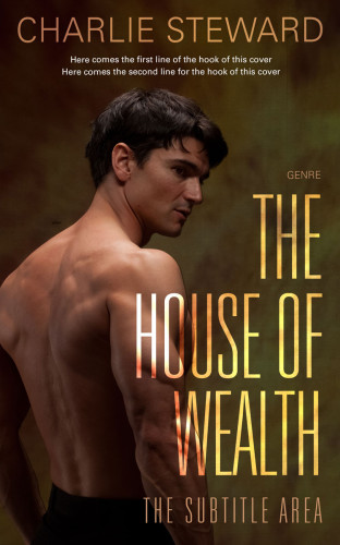 3D mockup of Mikado #20949 - Premade Erotica Book Cover