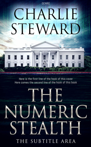 3D mockup of Ebony #20979 - Premade Mystery & Thriller & Suspense Book Cover | BookCoverZone