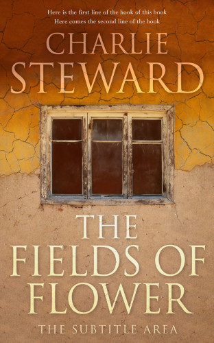 3D mockup of Driftwood #21004 - Premade Literary Fiction Book Cover