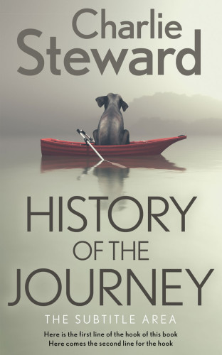 3D mockup of Eagle #21351 - Premade Abstract Book Cover | BookCoverZone