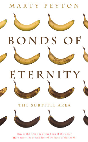 3D mockup of Quincy #21726 - Premade Literary Fiction Book Cover