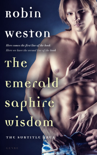 3D mockup of Steel Gray #22464 - Premade Erotica Book Cover