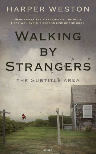 3D mockup of Flint #22775 - Premade Literary Fiction Book Cover | BookCoverZone