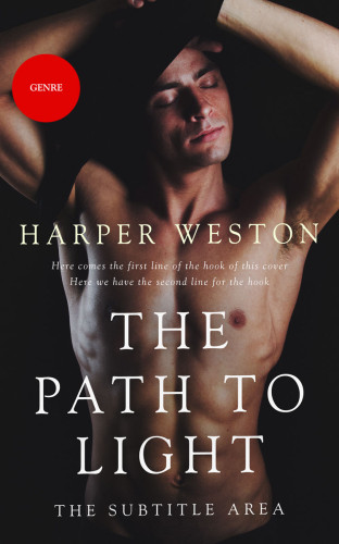 3D mockup of Thunder #23070 - Premade Erotica Book Cover