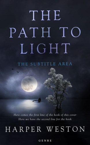 3D mockup of Steel Gray #23073 - Premade Fantasy Book Cover