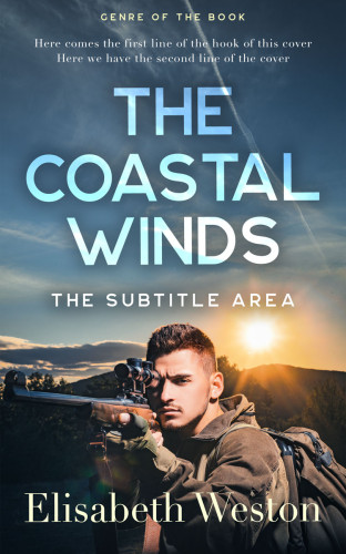 3D mockup of Shuttle Gray #24038 - Premade Mystery & Thriller & Suspense Book Cover