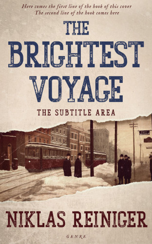 3D mockup of Akaroa #24949 - Premade Historical Book Cover