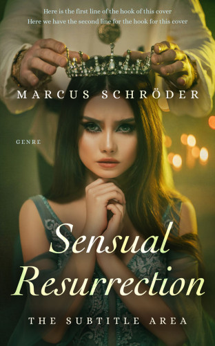 3D mockup of Birch #25407 - Premade Historical Book Cover