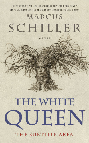 3D mockup of Sisal #25737 - Premade Fantasy Book Cover