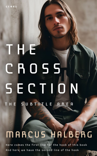 3D mockup of Silk #26996 - Premade Romance Book Cover