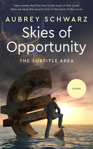 3D mockup of Ship Gray #27551 - Premade Business Book Cover