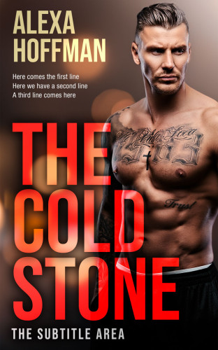 3D mockup of Burnt Sienna #28650 - Premade Erotica Book Cover