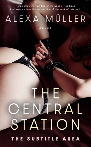 3D mockup of Soft Amber #29170 - Premade Erotica Book Cover