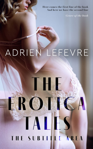 3D mockup of Chatelle #29293 - Premade Erotica Book Cover