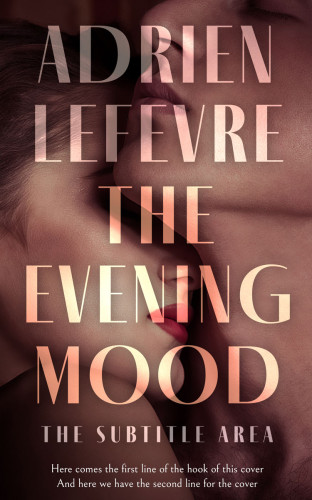 3D mockup of Crater Brown #29308 - Premade Erotica Book Cover