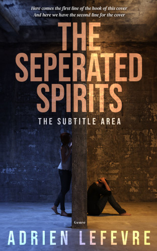 3D mockup of Thunder #29313 - Premade Romance Book Cover